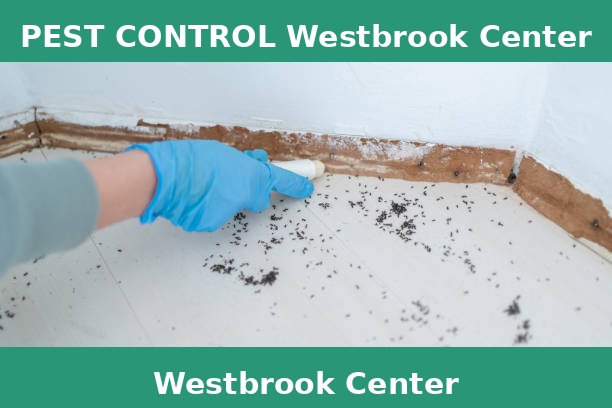PEST CONTROL Westbrook Center